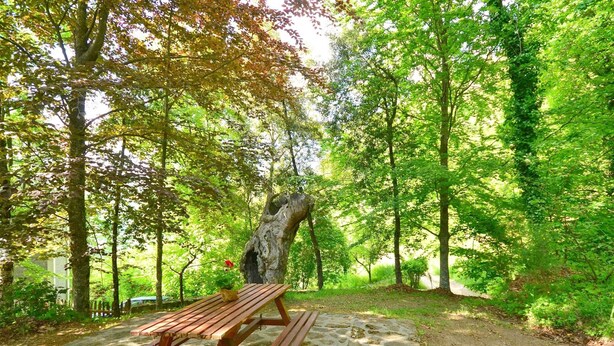 Ein Picknicktisch mit Bänken in einem bewaldeten Gebiet mit Bäumen und einem Steinweg.