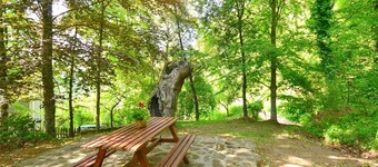 Spacious Home With Shared Pool