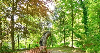 Spacious Home With Shared Pool