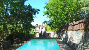 Ein Swimmingpool mit einer Steinwand an einer Seite und einem Holenzaun an der anderen, umgeben von Grünpflanzen.