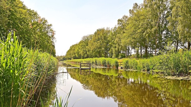 Une rivière paisible, traversée par un pont en bois, et bordée de part et d’autre d’une végétation luxuriante.