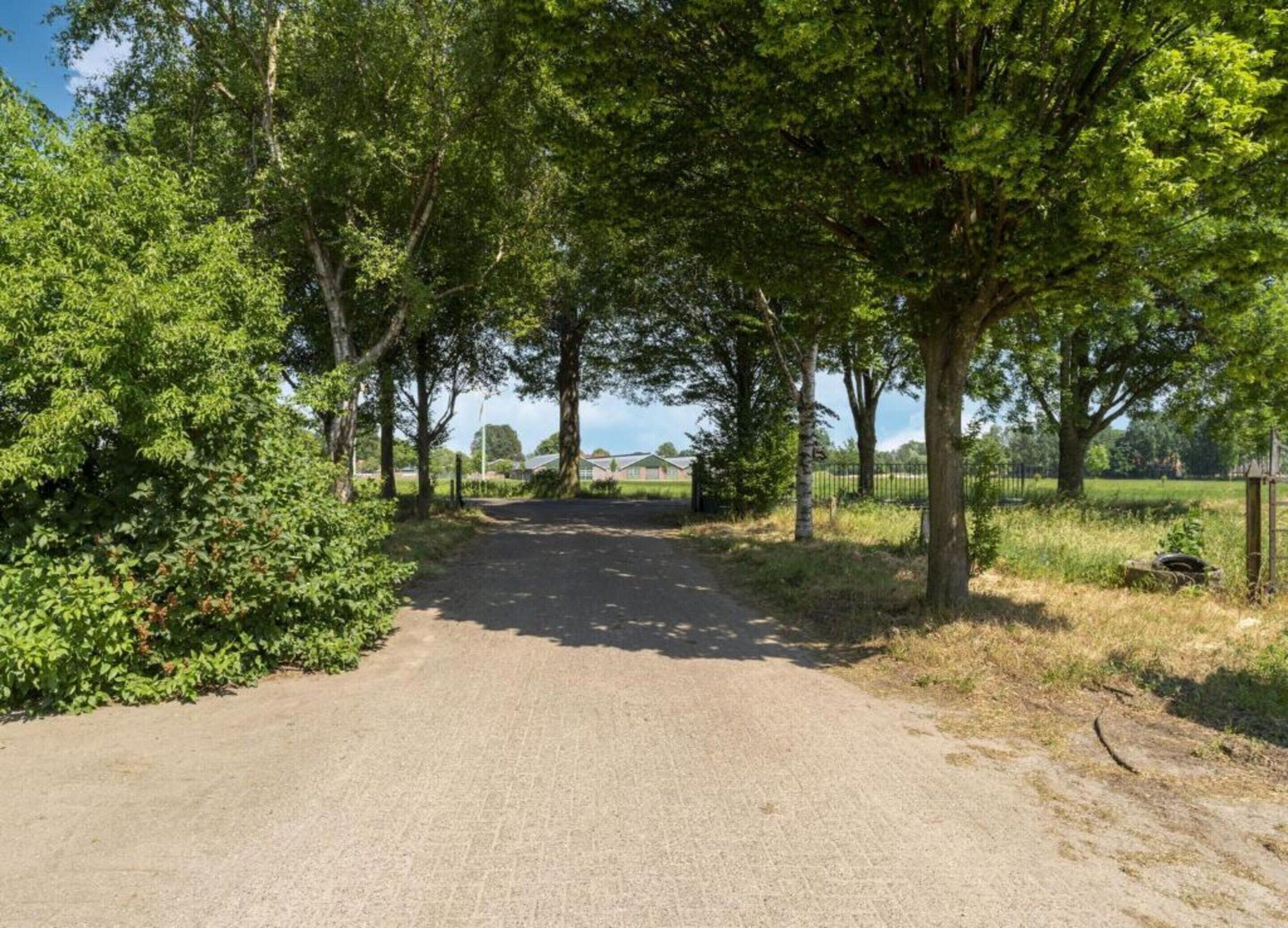 A paved rural road flanked by trees and open fields, leading to a distant building.