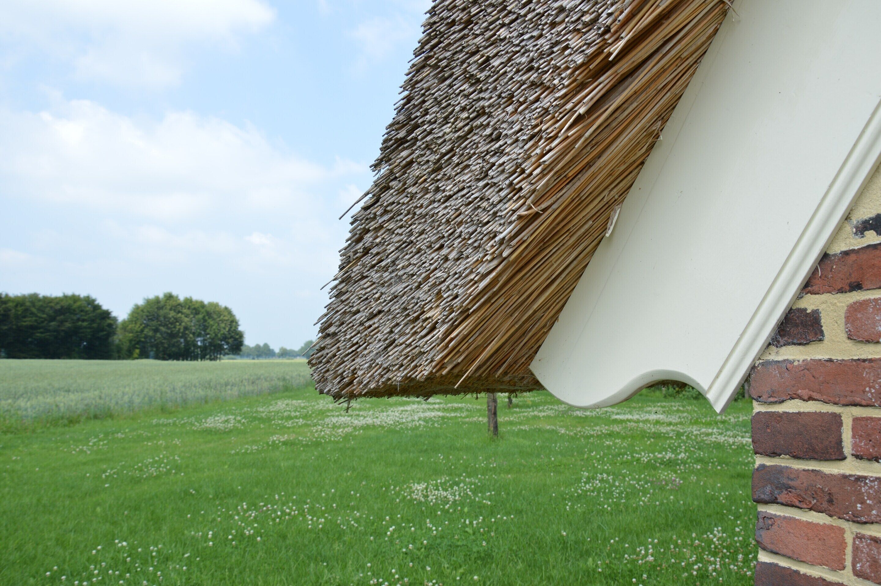 Nhà | Chi tiết nội thất