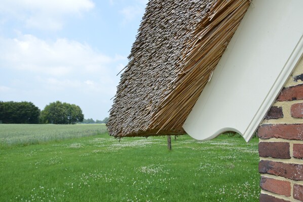 House | Interior detail - Farmhouse in Geesteren Near Golf Course (Geesteren)