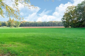 House | View from property - Holiday Home in Dwingeloo (Dwingeloo)