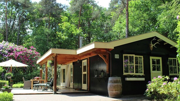 Unclassified image, 1 of 19, button - Charming Bungalow in Ambt Delden With Sauna, Garden, Terrace (Ambt Delden)