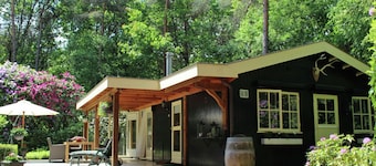 Charming Bungalow in Ambt Delden With Sauna, Garden, Terrace