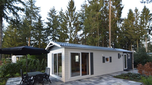 Exterior - Modern Holiday Home in Vorden Amidst Forest (Vorden)