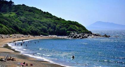 A Bayonne, joli T2 calme et lumineux