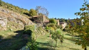 A rural landscape with a stone house, a grassy path, and a variety of trees and shrubs. - Hideaway in Villeneuve-d'allier (Ally)