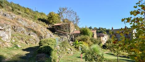 A rural landscape with a stone house, a grassy path, and a variety of trees and shrubs.