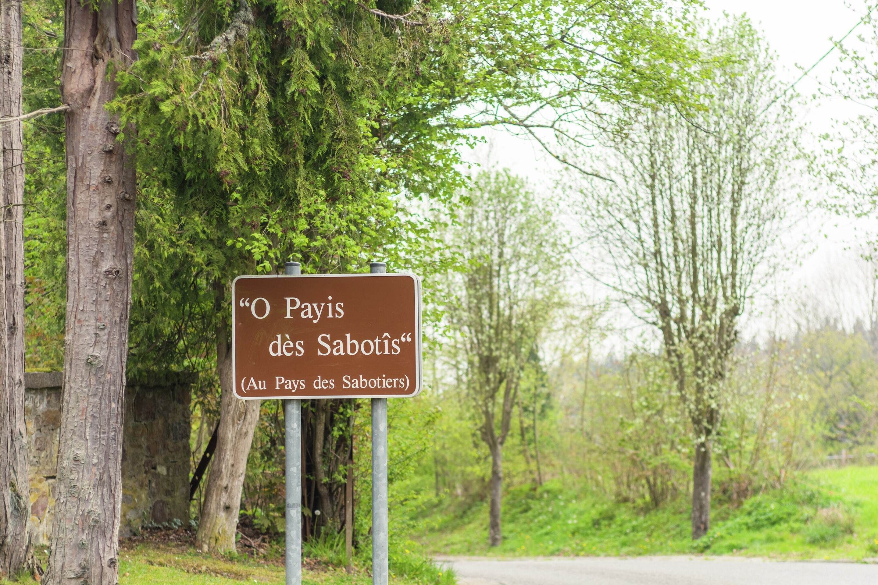 Un panneau avec du texte dans une langue étrangère, entouré d’arbres et situé près d’une route.