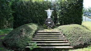 A statue on a stone pedestal with steps leading up to it, surrounded by lush greenery.