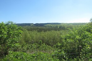 Cottage | View from property