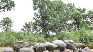 Aussenbereich
