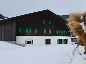 Unclassified image, 2 of 20, button - Modern Apartment in Sankt Gallenkirch With Lovely Garden (Sankt Gallenkirch)