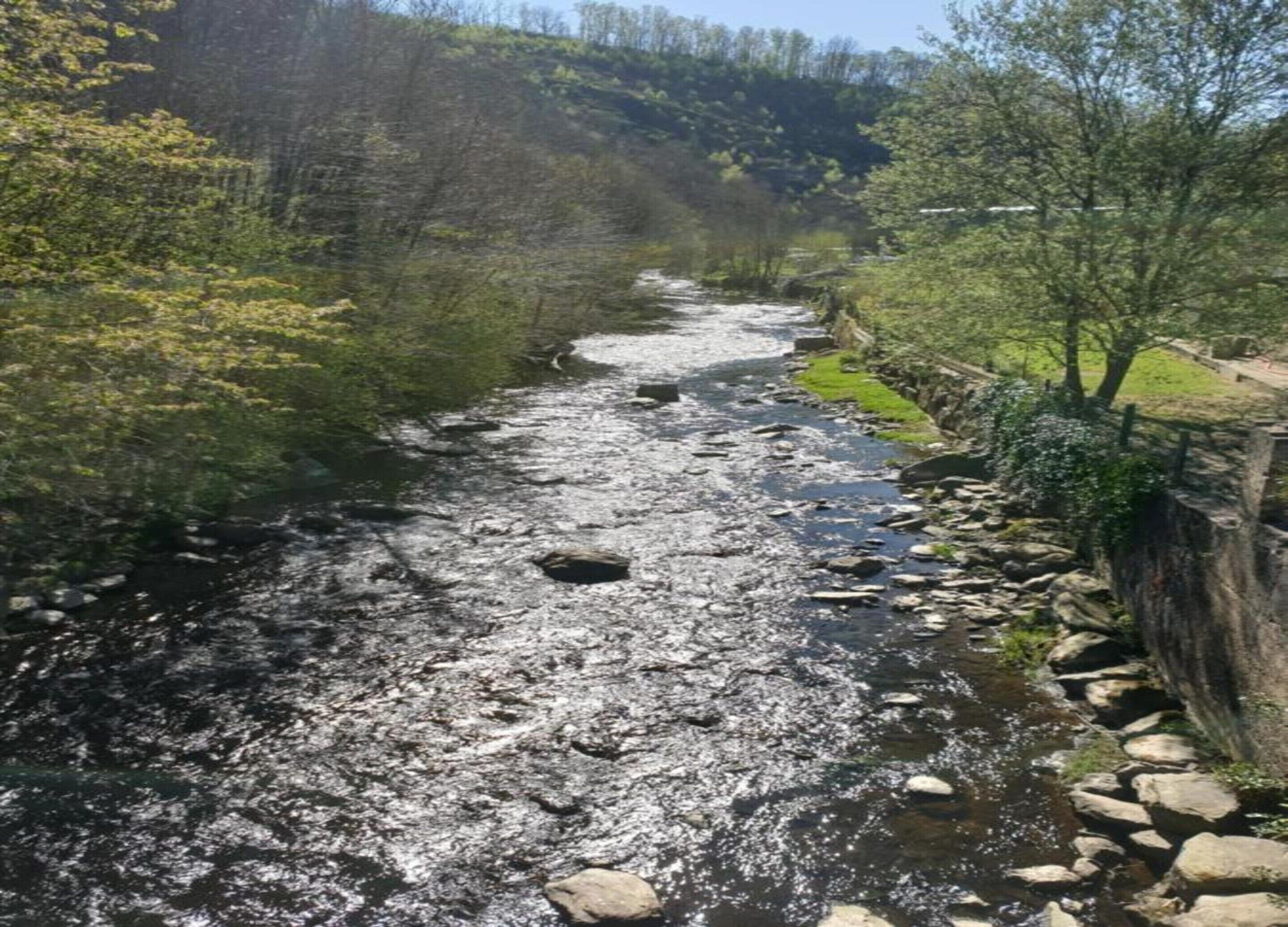 Ein Fluss fließt durch eine felsige Landschaft, gesäumt von Bäumen.