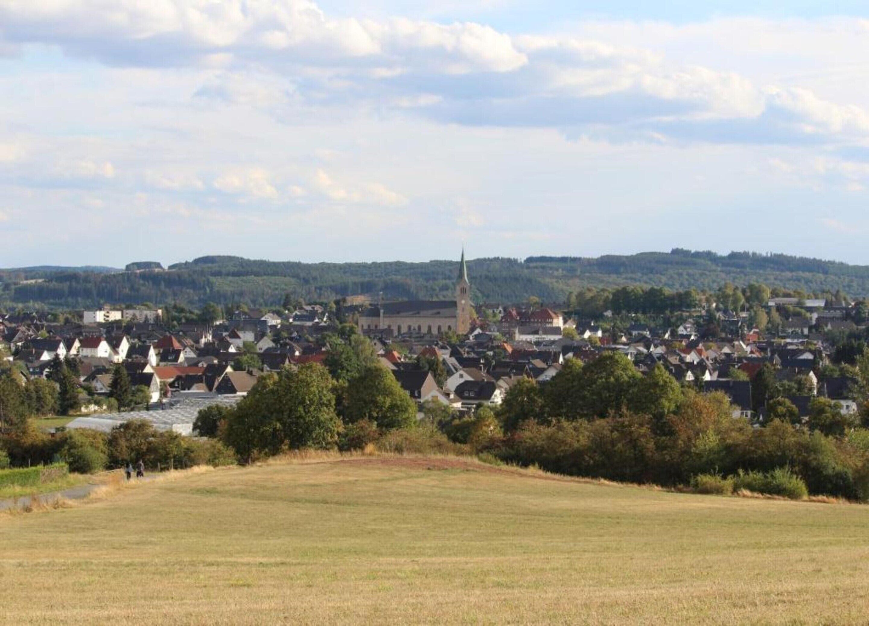A town with a prominent church steeple, surrounded by residential buildings and a green field in the foreground.