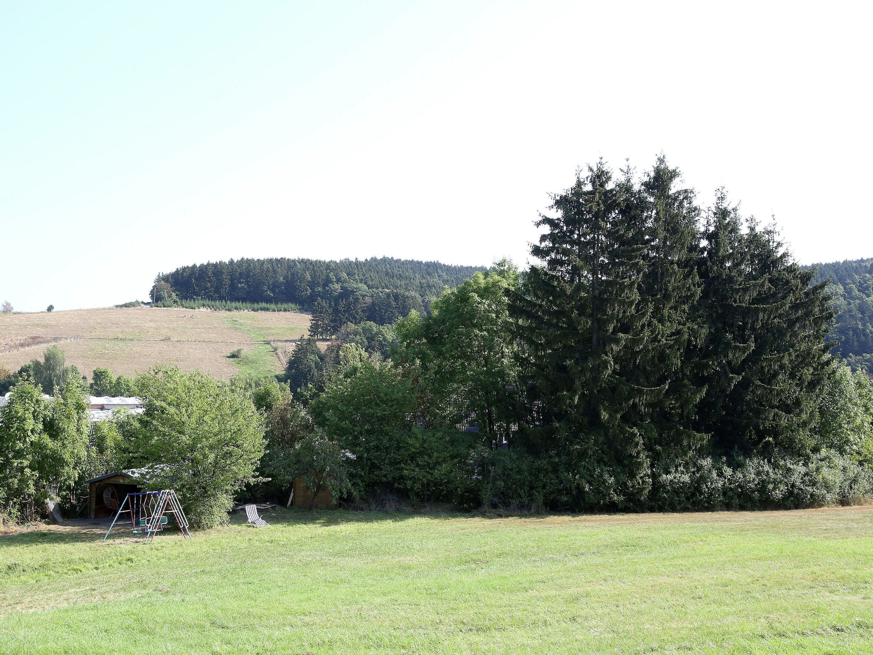 A rural landscape with a large tree, a small structure, and a field.