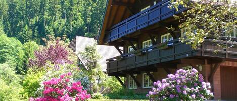 Apartment | Exterior