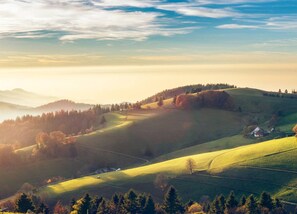 Apartment | Blick von der Unterkunft