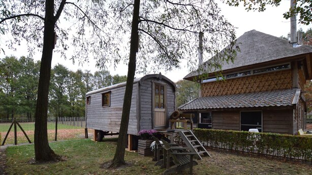 Eksteriør