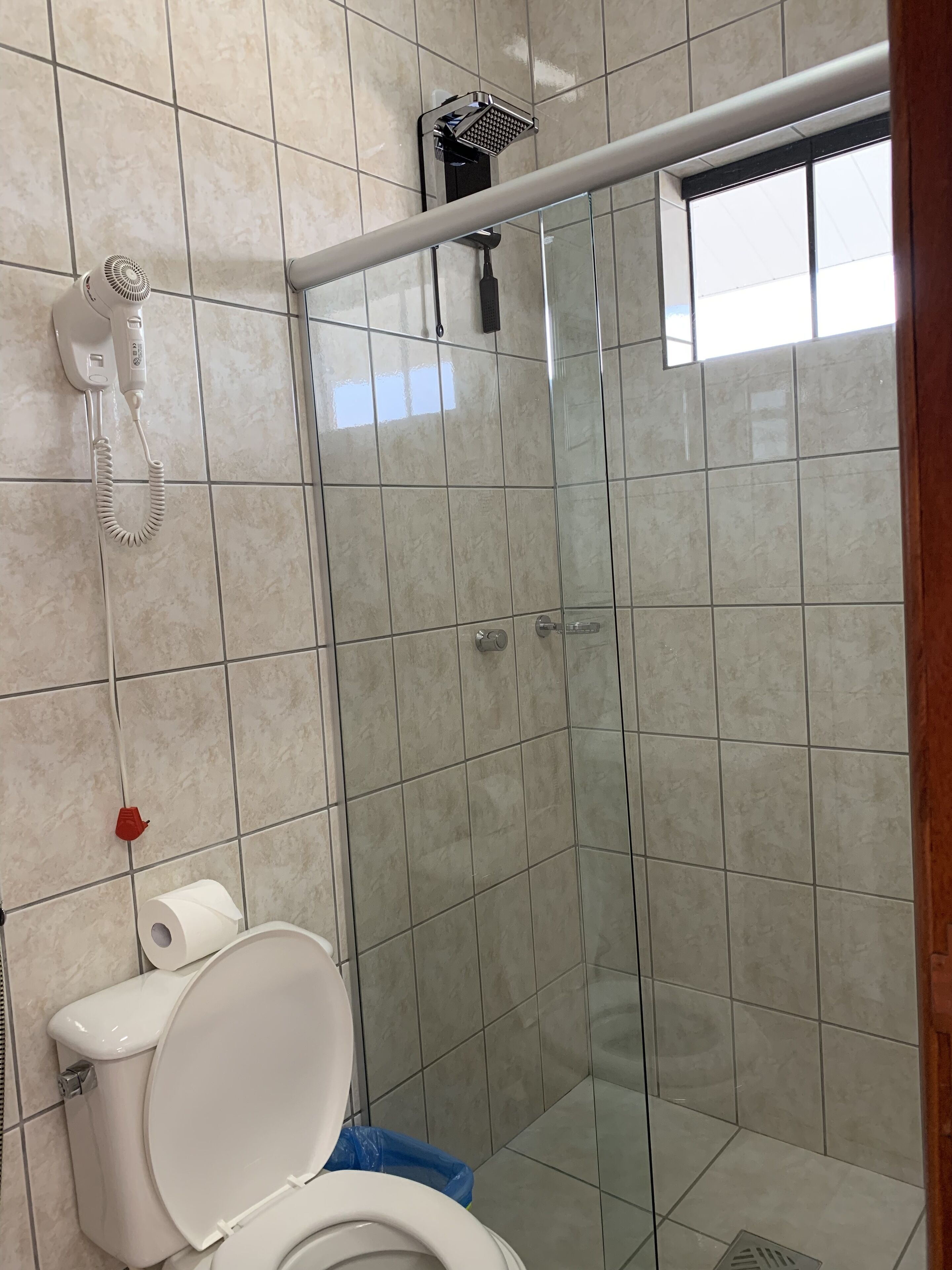 A bathroom with a toilet, a shower, and a glass-enclosed shower stall.