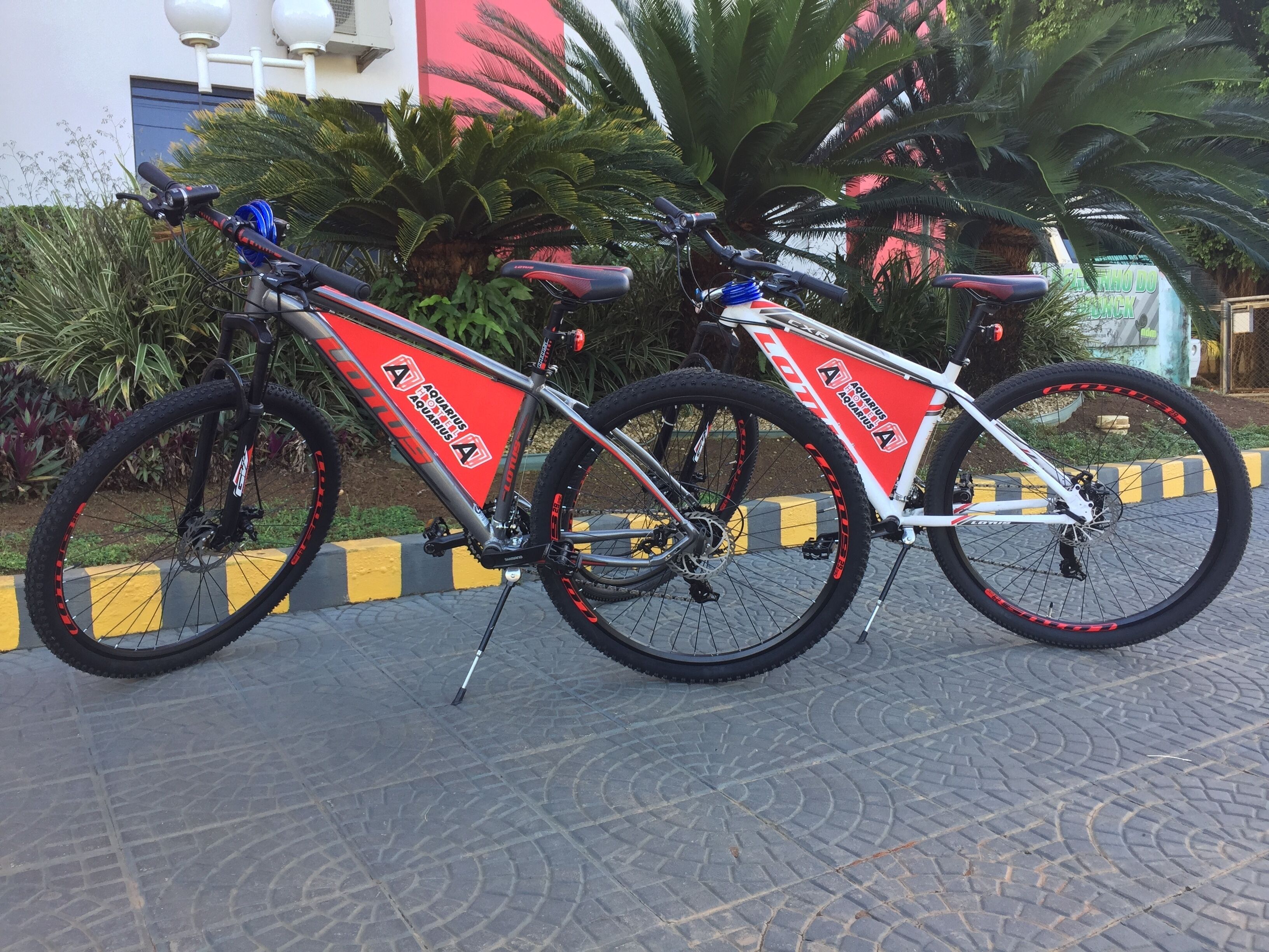 Dos bicicletas estacionadas en un área pavimentada con un bordillo amarillo y negro, rodeado de follaje y un edificio con fachada roja y blanca.