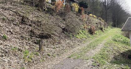 Engenstein Woodland Escape