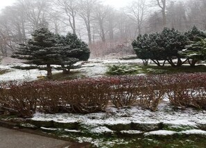 A snowy landscape with evergreen trees and a snow-covered ground. - Engenstein Woodland Escape (Schleusegrund)