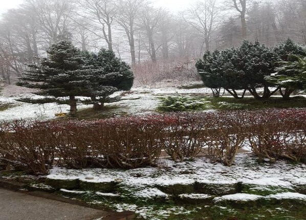 Ferienhaus | Blick von der Unterkunft