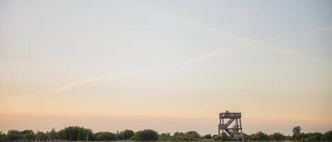 A large, open field with a tall, metal structure in the distance.