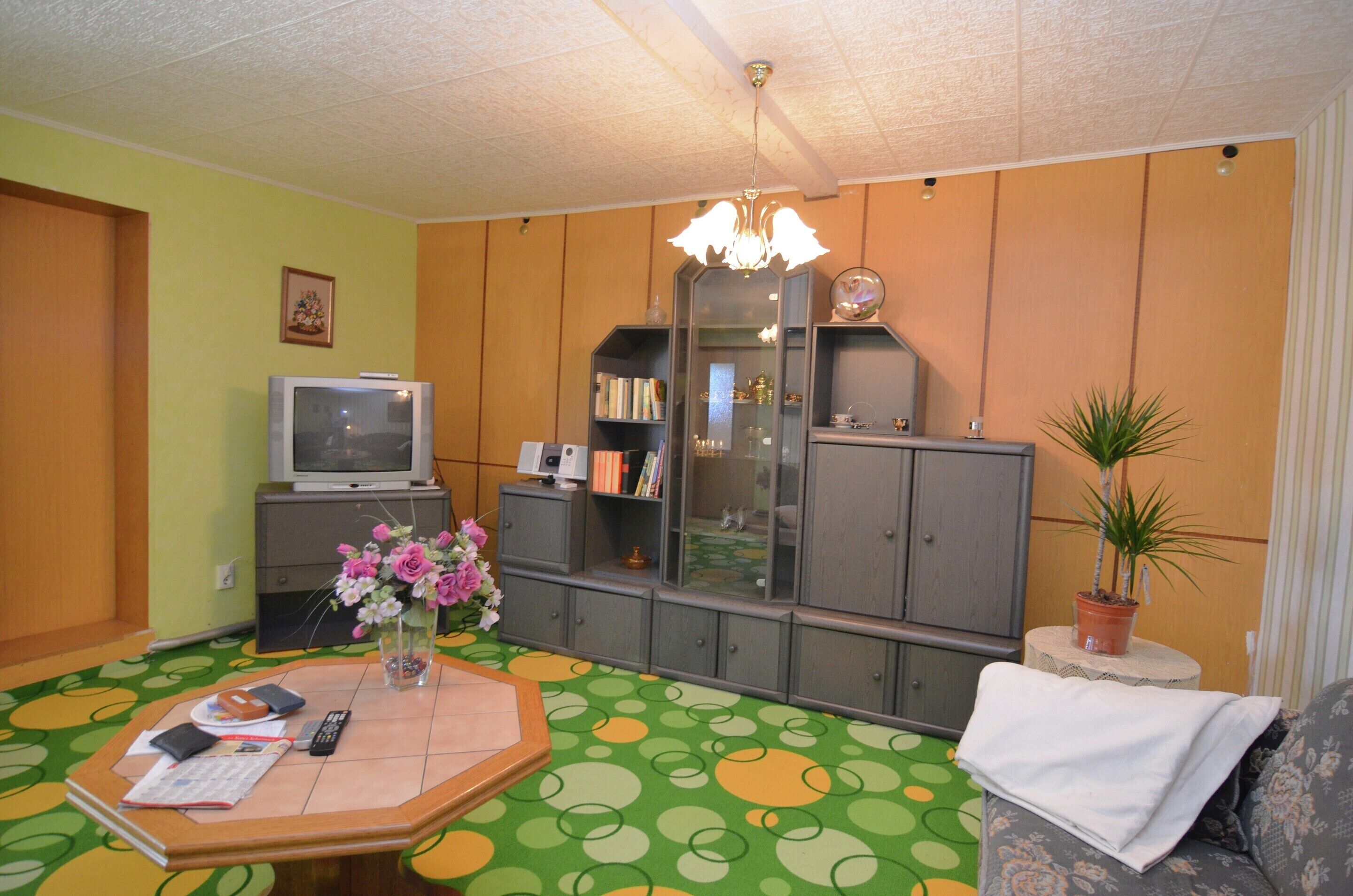 A living room with a television, bookshelves, a potted plant, and a patterned carpet.