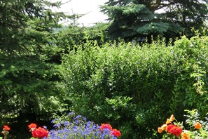 Garden - Holiday Home in Cattenstedt Harz With Garden (Blankenburg)