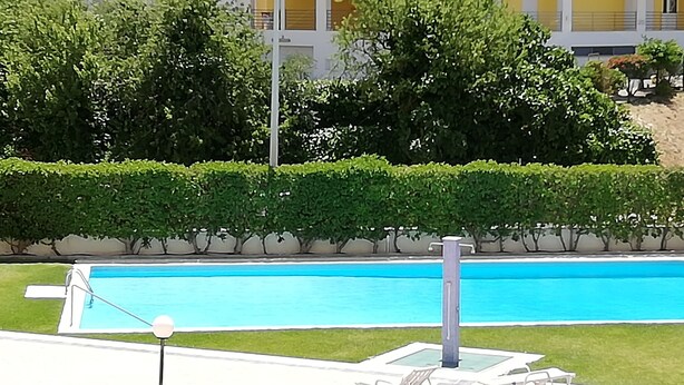 Une piscine rectangulaire à l’eau d’un bleu limpide, entourée de haies verdoyantes bien entretenues et d’une pelouse.