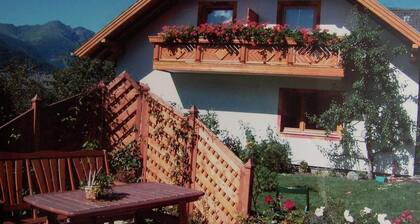 Apartment in Lungau Near Ski Bus and Forest