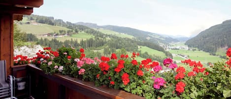 Apartment | Blick von der Unterkunft