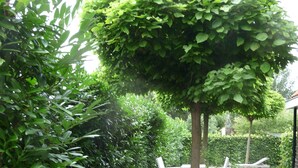 บ้านพัก | สวน