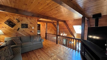 TV connectée, cheminée, jeux vidéo, lecteur de DVD