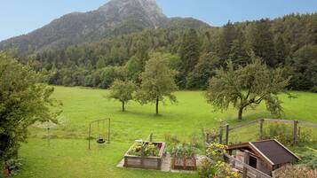 Apartment | Blick von der Unterkunft