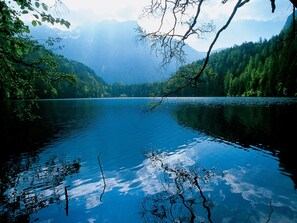 公寓 | 住宿景观