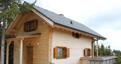 Wooden Chalet in Koralpe Amid the Forest