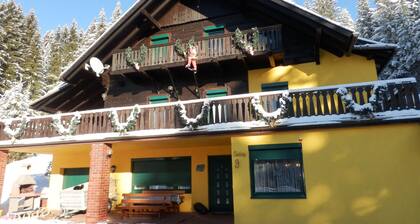 Comfortable Mansion in Wolfsberg Near Ski Area