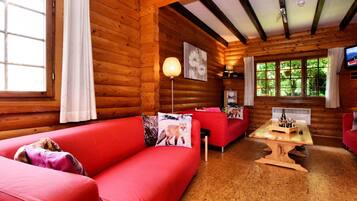 Chalet | Living room | Fireplace