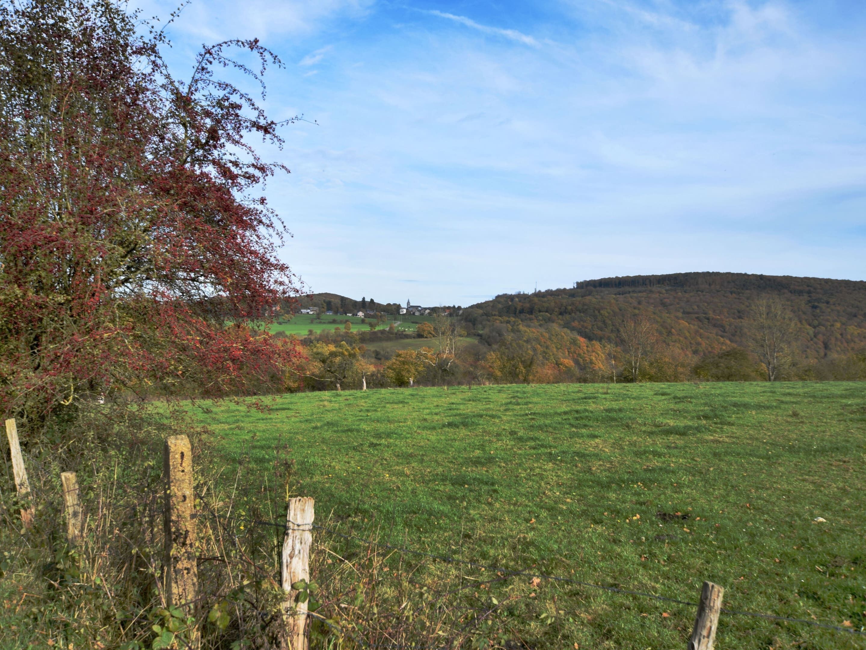 A rural landscape with a grassy field, a wooden fence, and a hill in the background.