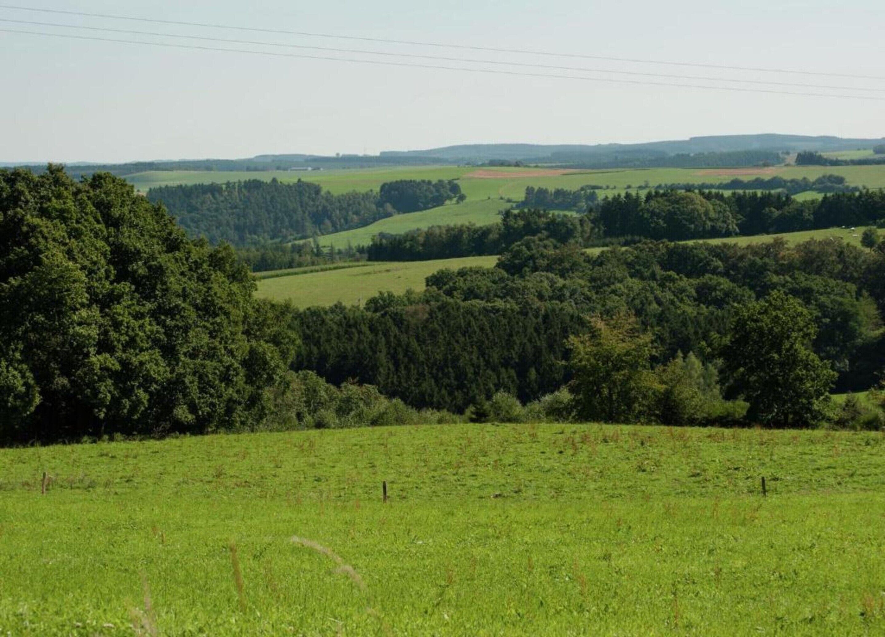 A rural landscape with rolling hills, dense forests, and open fields.