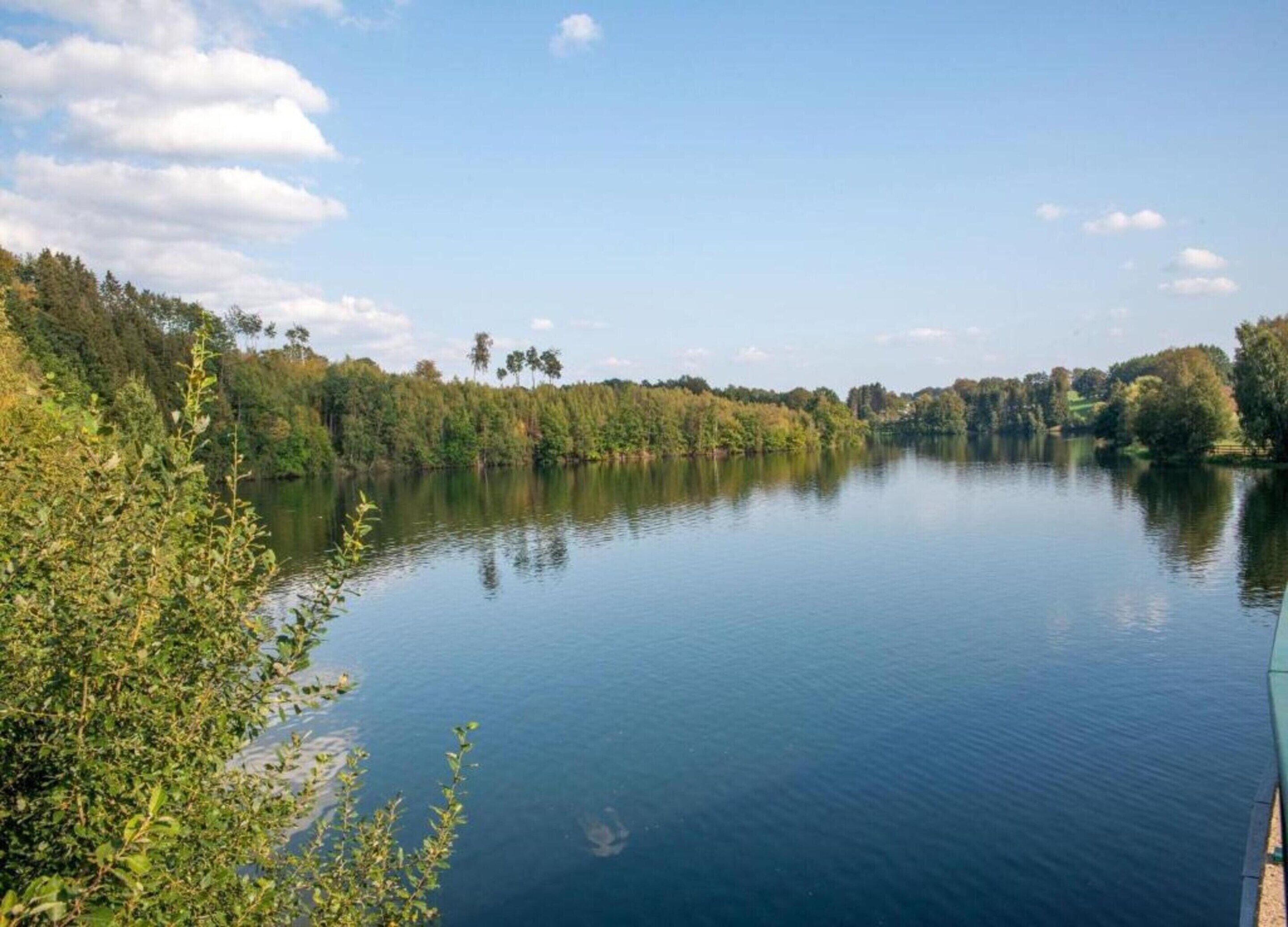 Ein ruhiger See, umgeben von dichtem Wald und blauem Himmel.