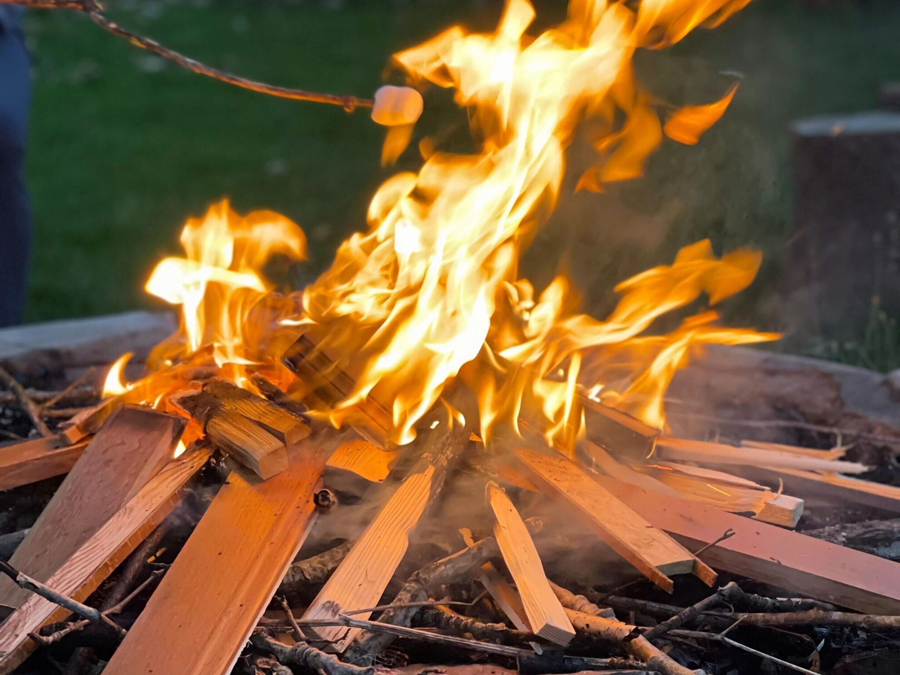 A campfire with logs and burning flames.
