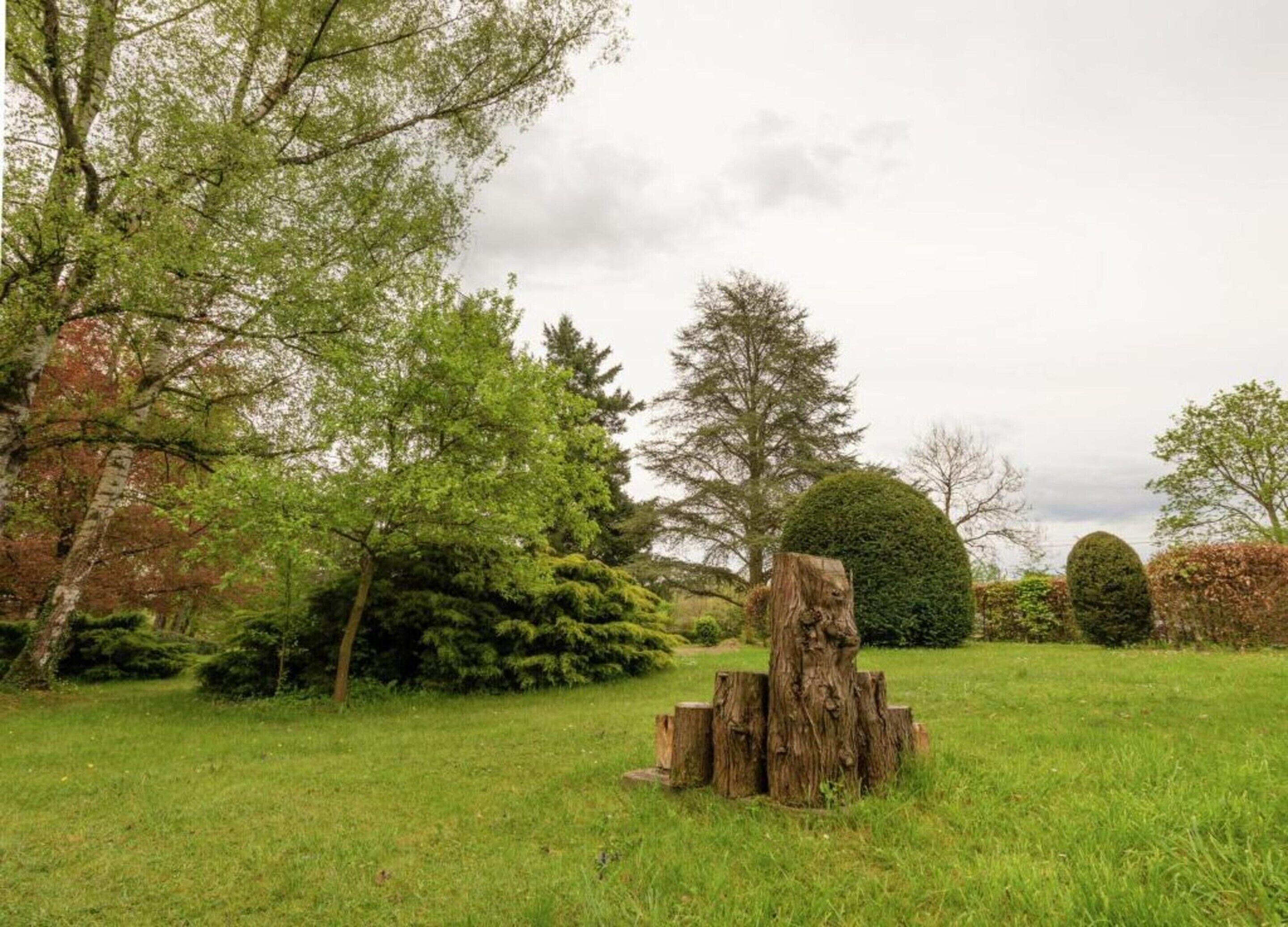 A grassy area with a large tree stump and various trees in the background.