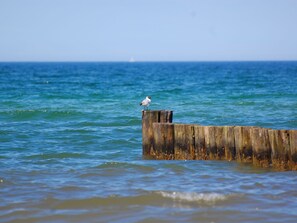 Exterior - Delightful Holiday Home in Rerik near Sea (Rerik)